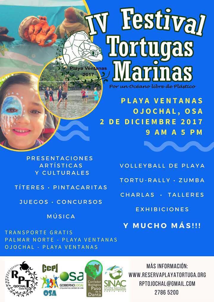 tortuga festival 2017 playa ventanas