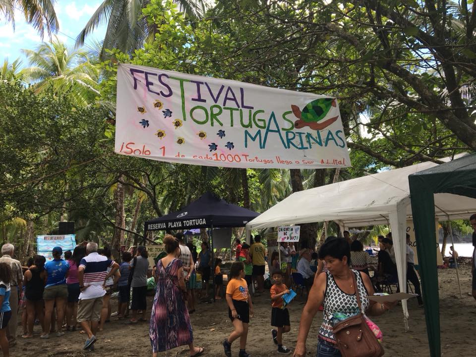 Pictures 2017 Turtle Festival